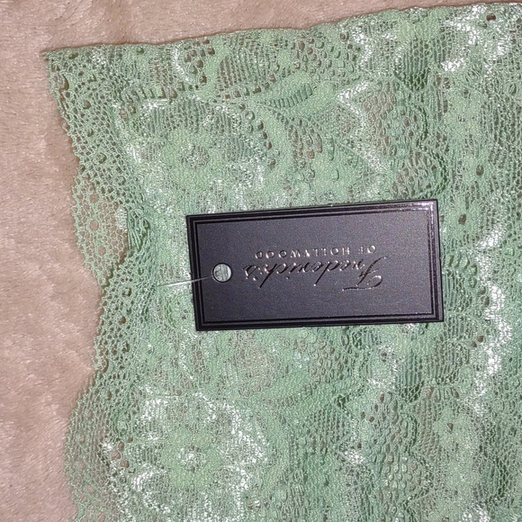 ASHLYNN ALLOVE Lace Hipster in Color - Hemlock - Picture 10 of 13